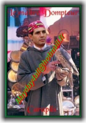 ������ ��������